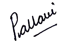 pallavitravellife.com